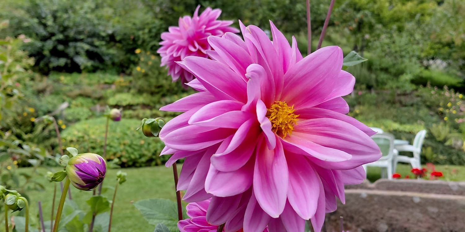 ENTRETIEN_JARDIN_ESPACES_VERTS2 1500X750 | Passion Jardins Quelles plantes choisir pour un jardin vivant et facile à entretenir toute l’année ? Sélestat