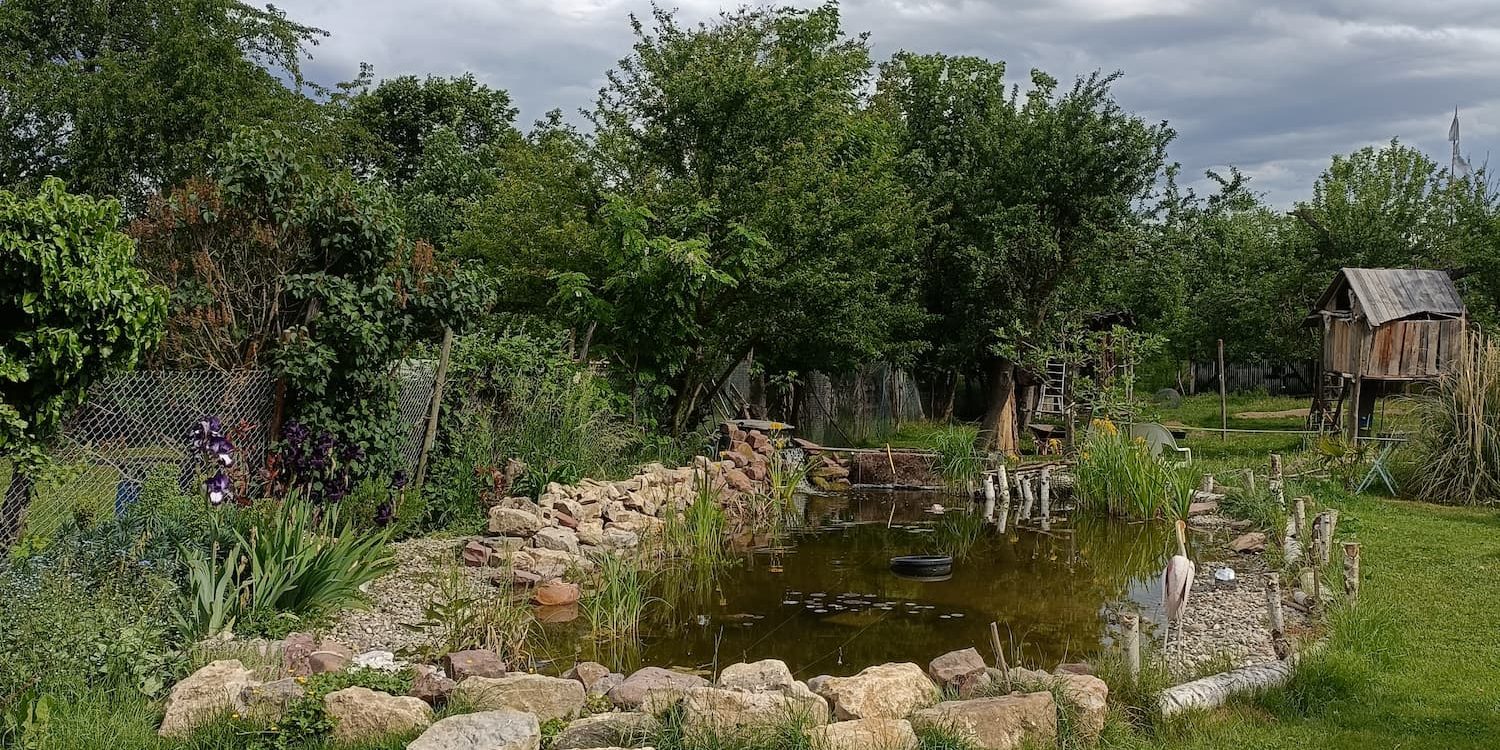 Aménagement végétal et création de jardins naturels près de Sélestat et Rouffach Illzach