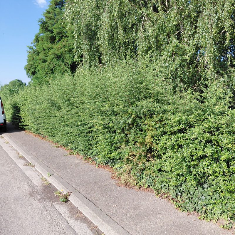 Entretien Mulhouse 6