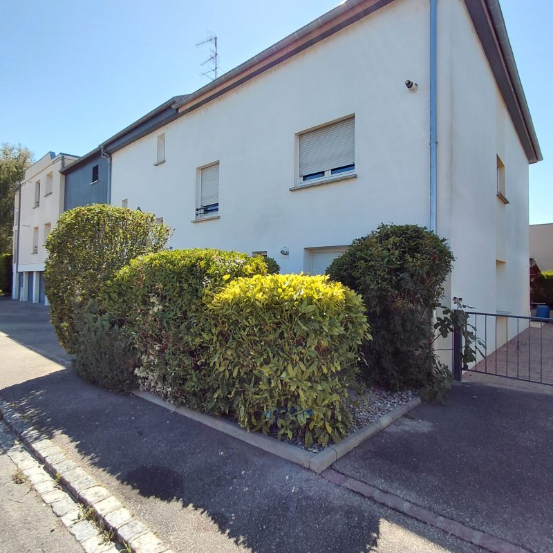 Entretien Wittenheim 8