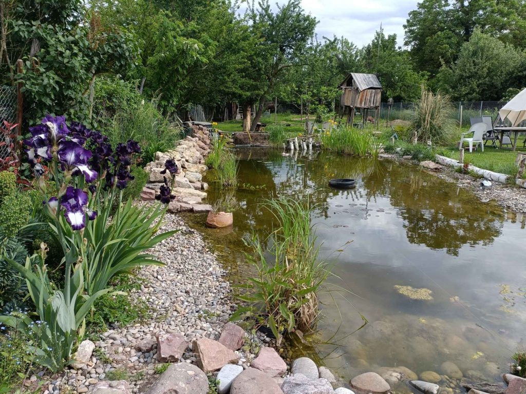 Aménagement extérieur Saint-Dié-des-Vosges 13