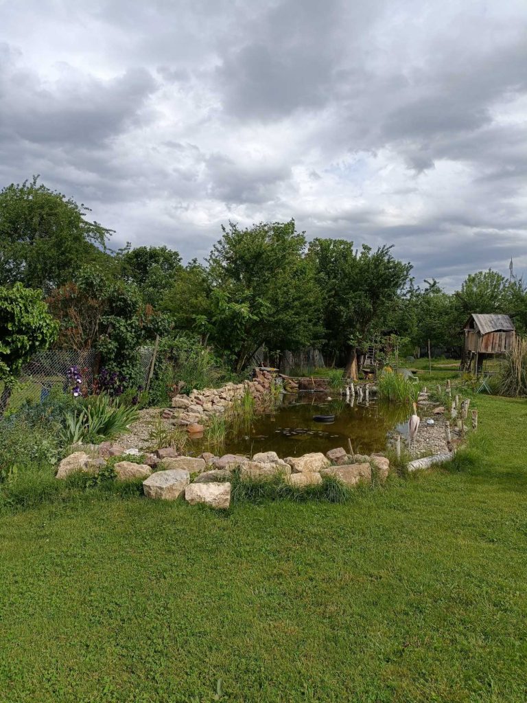 Aménagement extérieur Wittenheim 14