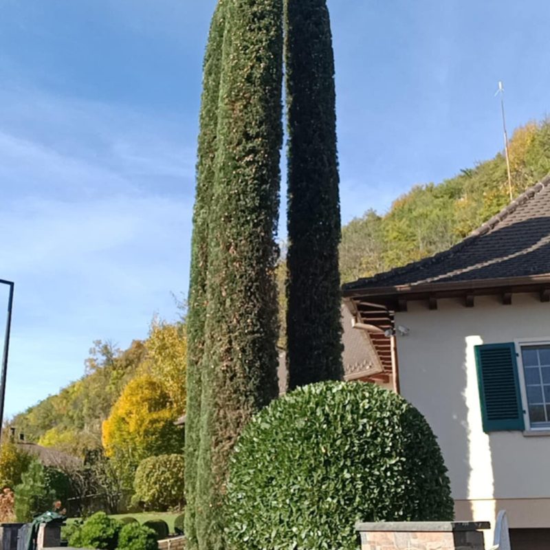 Entretien Kingersheim 9