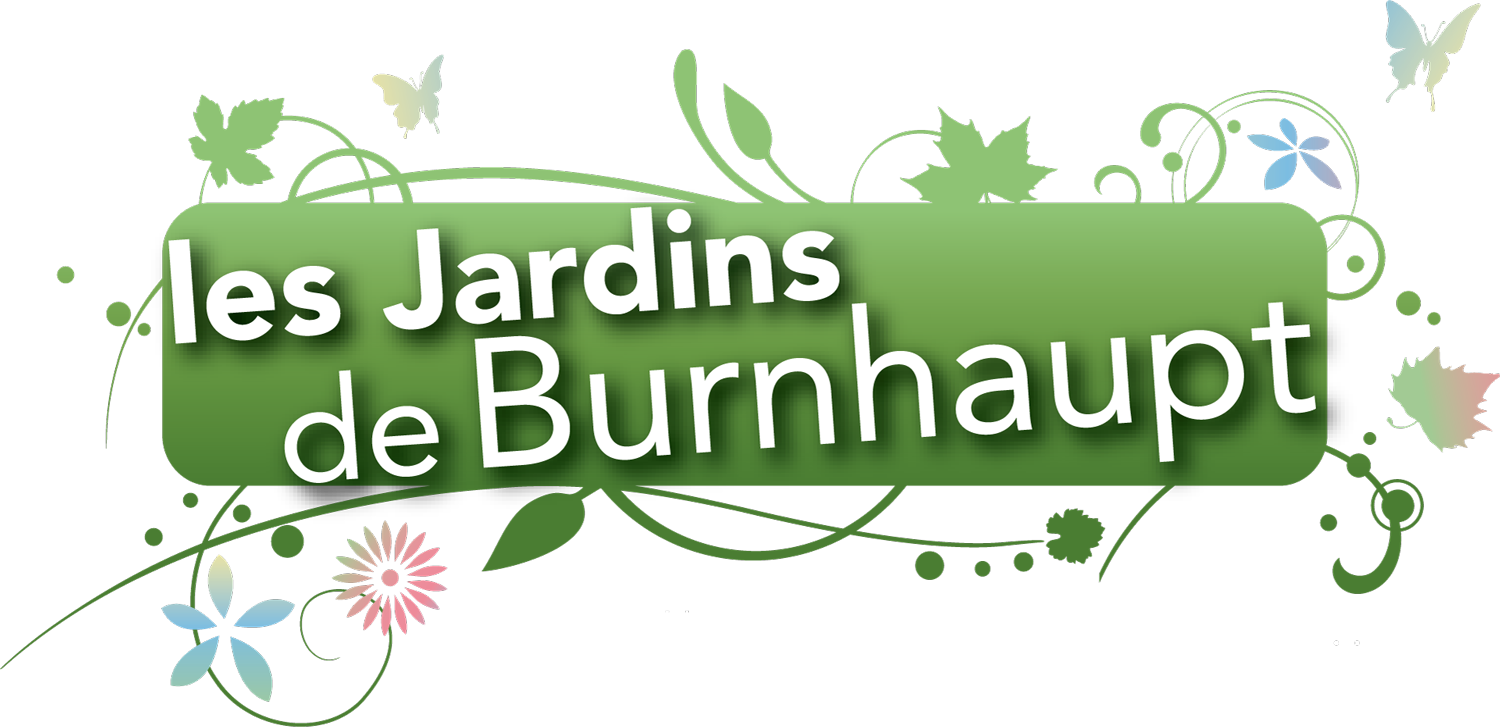 LESJARDINSDEBURNHAUPT | Passion Jardins Jardins de burnaupt Colmar