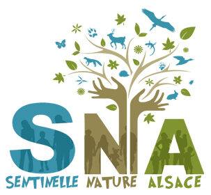 SNA 1 | Passion Jardins SNA Colmar