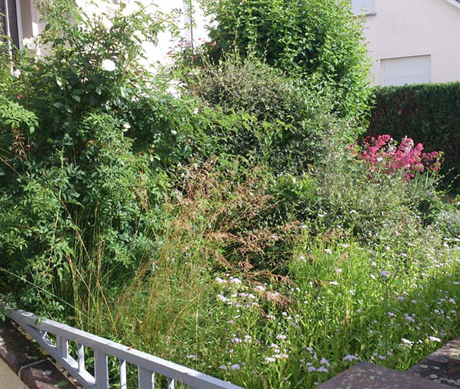 Aménagement extérieur Colmar
