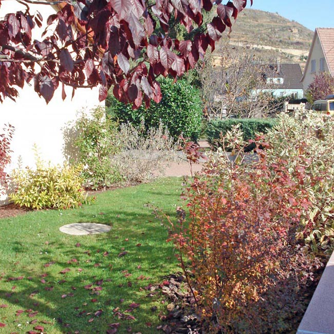 Élagage, Abattage Arbre et Taille Haie Colmar